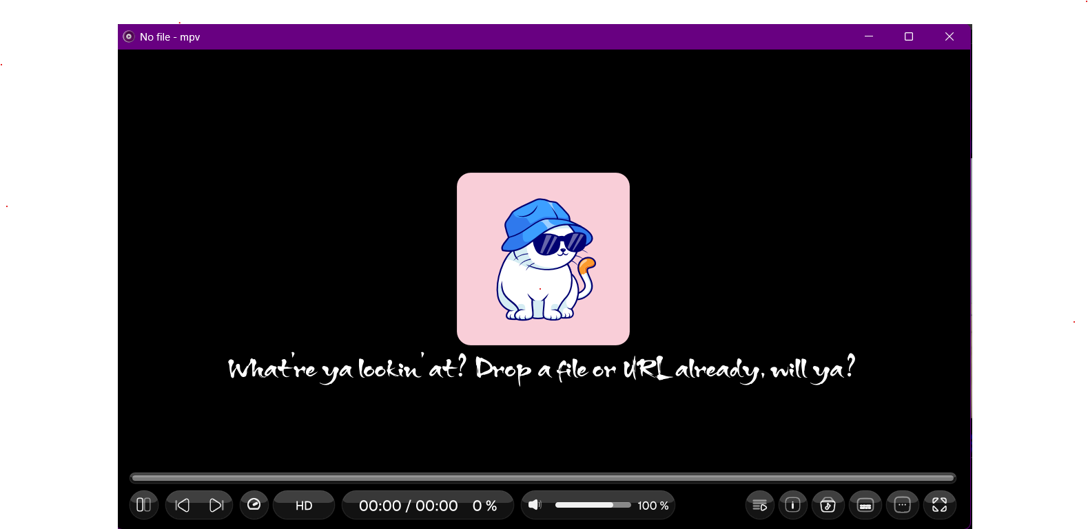 Idle screen with the Chill Cat illustration and a friendly prompt to drop a file or URL.